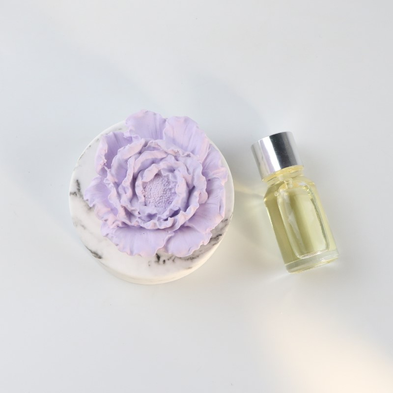 Diffuser stone aromatherapy recommended(图4)